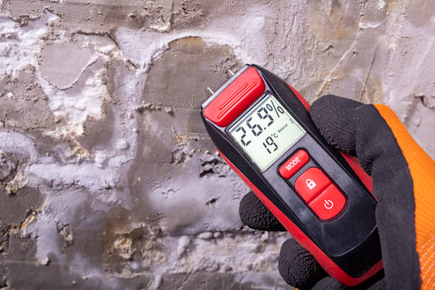 Best DIY Mold Remediation Support Services in Chippewa Falls, WI