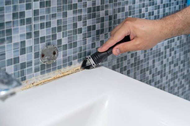 Chippewa Falls, WI Mold Remediation Company